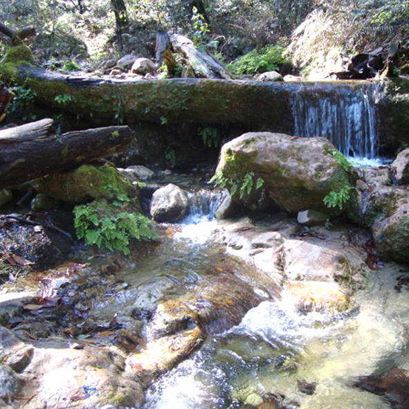 Parque la Estanzuela 